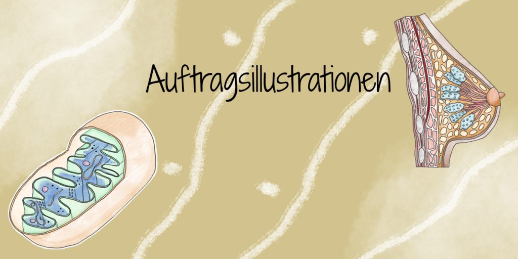 Auftragsillustrationen Illustratorin