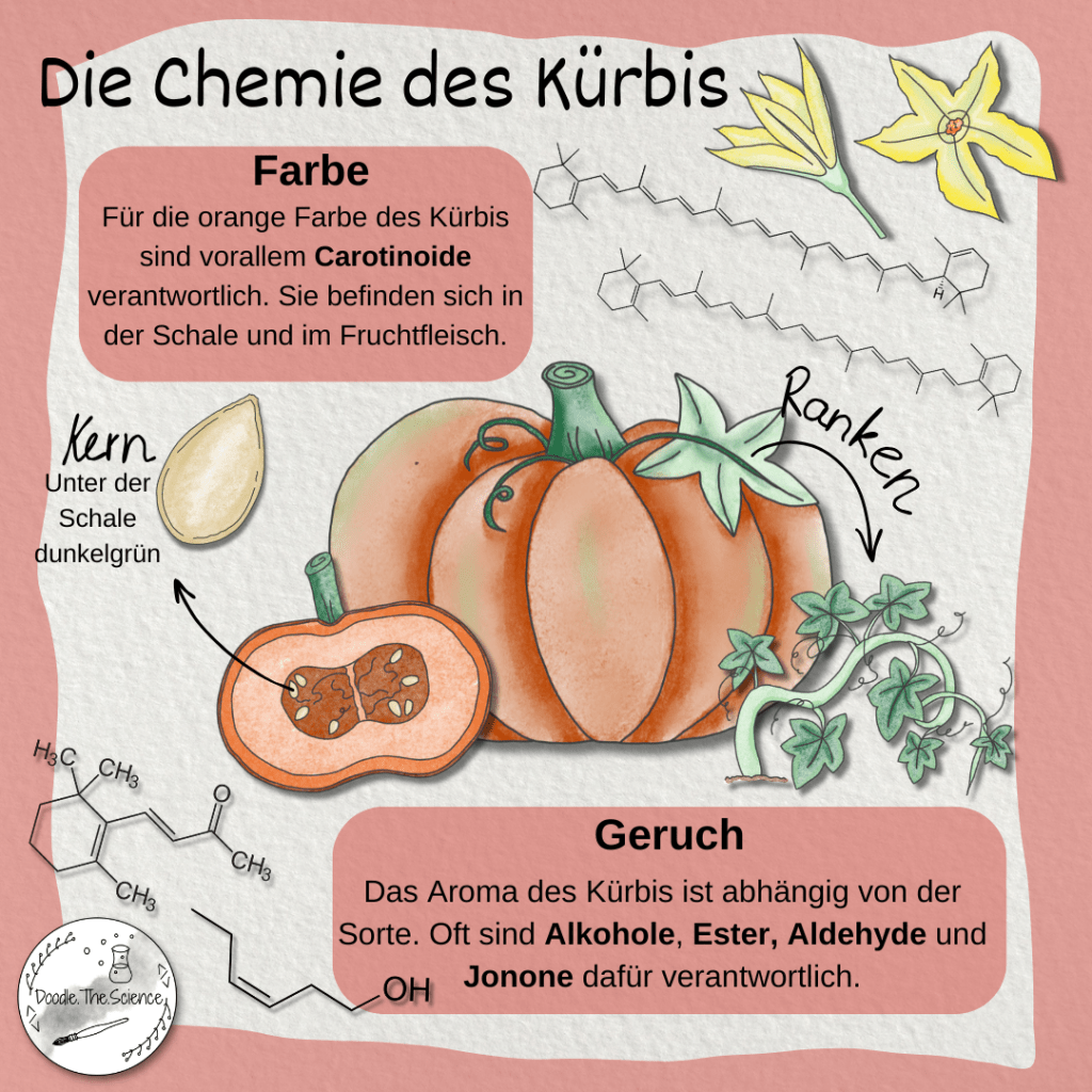 Die Chemie des Kürbis